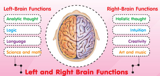 Brand Function -Babiegenius
